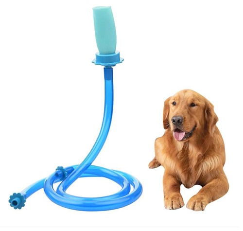 Testa silicone acqua - testa, in