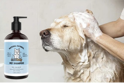 Shampoo farina avena - shampoo,