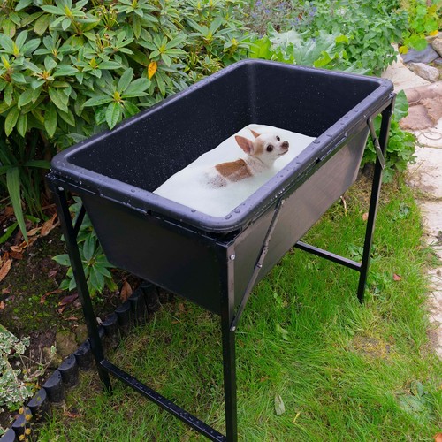 Dirty dog toelettatura cani - dog,